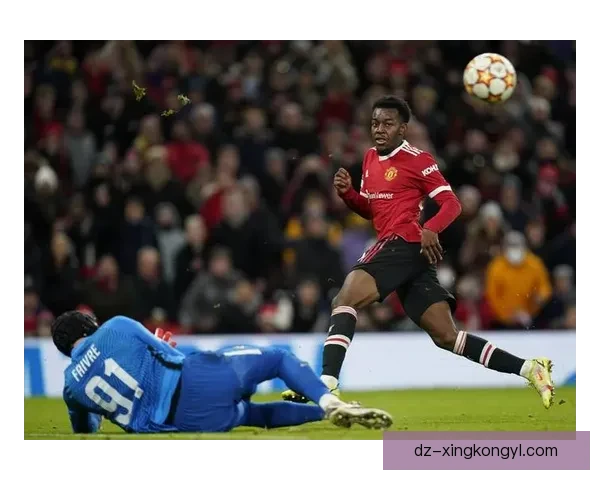 巴洛图雷迪亚洛首发费弗尔约科